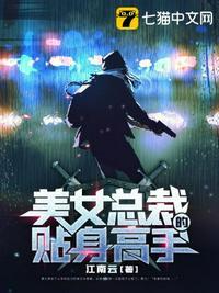 美女总裁的贴身高手封面