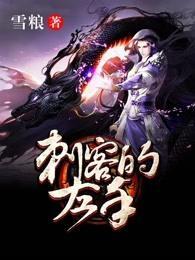 刺客的左手封面