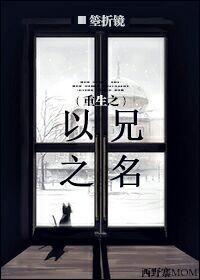 重生之以兄之名封面