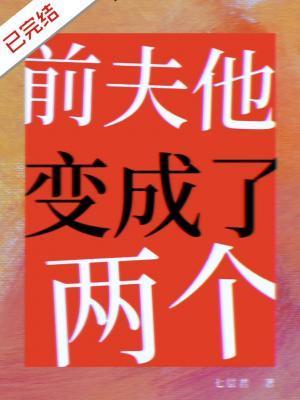前夫他变成了两个封面