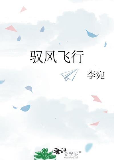 驭风飞行封面