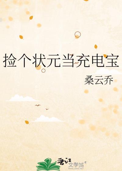 捡个状元当充电宝封面