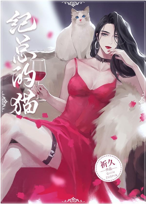 纪总的猫封面