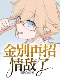 金，别再招情敌了封面