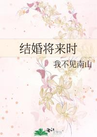 结婚将来时封面