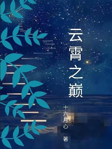 云霄之巅封面