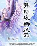 异世废材风云封面