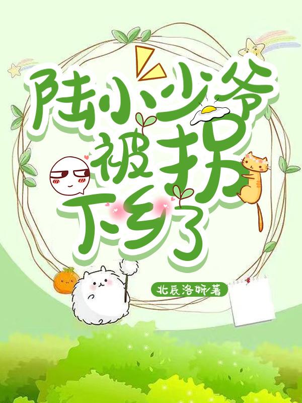 陆小少爷被拐下乡了封面