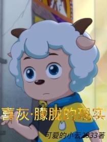 喜灰——朦胧的现实封面