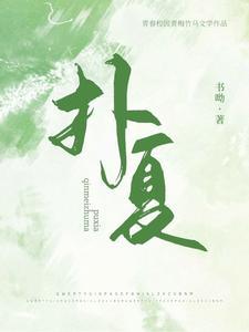 扑夏封面