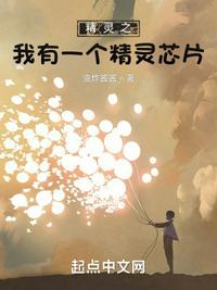 精灵之我有一个精灵芯片封面