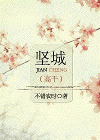 坚城封面