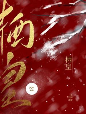 栖皇封面