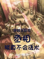 穿越汉献帝:丞相,朕真不会法术封面