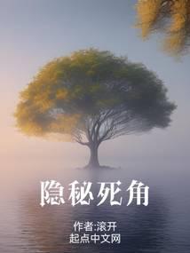 隐秘死角滚开封面