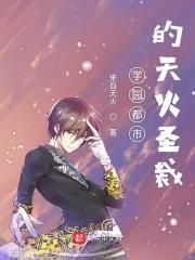 学园都市的天火圣裁封面