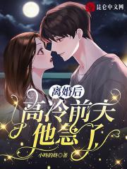 离婚后，高冷前夫他急了封面