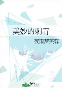 美妙的刺青封面