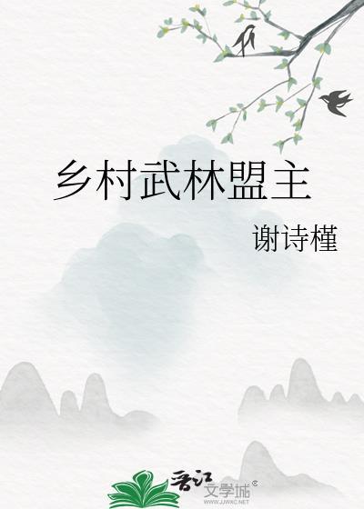 乡村武林盟主封面