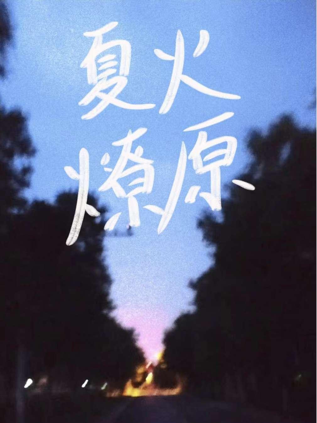 夏火燎原封面