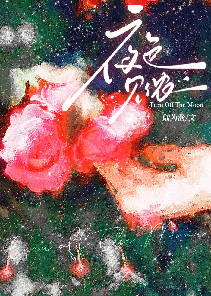 夜色见侬封面