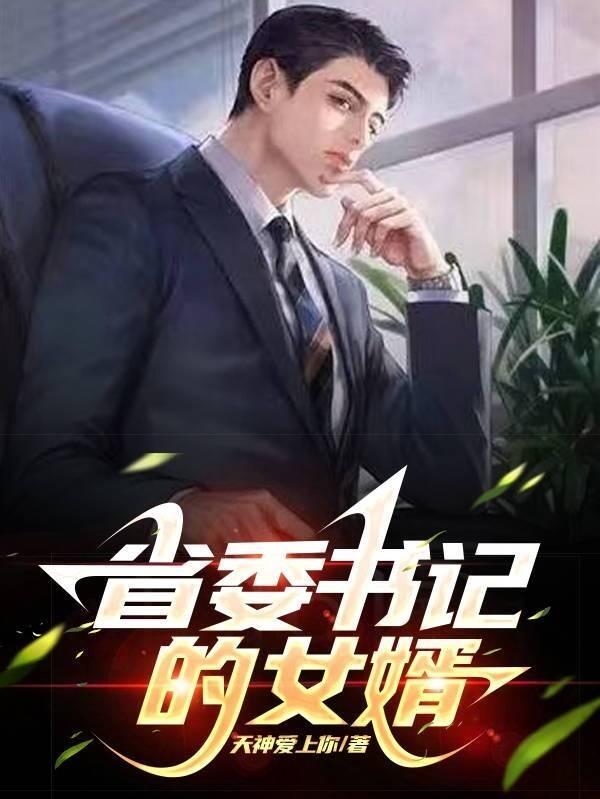 省委书记的女婿封面