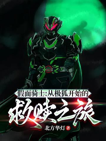 假面骑士：从极狐开始的救赎之旅封面