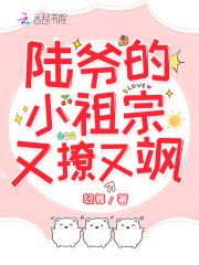 爆炒的恶毒男配 小说海棠封面