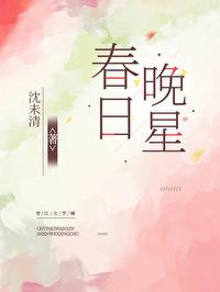 春日晚星封面