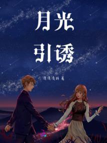 月光引诱封面