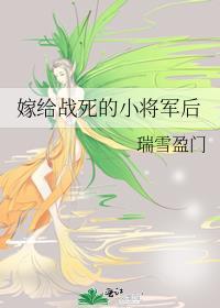 嫁给战死的小将军后封面