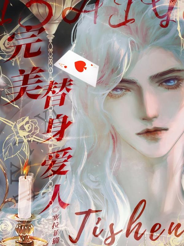 完美替身爱人封面