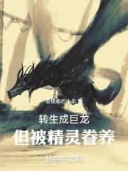 转生成巨龙，但被精灵眷养封面