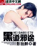 极道邪途封面