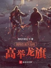 我将在诸天世界高举龙旗封面