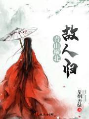 青山横北故人归封面