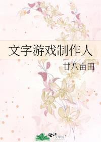 文字游戏制作人封面