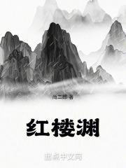 红楼渊封面