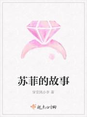 苏菲的故事封面