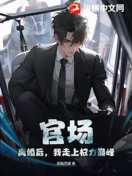 官场：离婚后，我走上权力巅峰封面