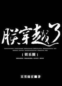极品老木匠封面