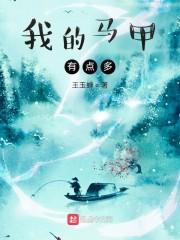 我的马甲有点多封面