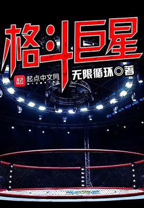 格斗巨星封面