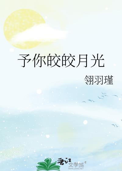 予你皎皎月光封面