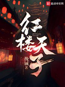 红楼天子封面