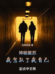 神秘复苏：我驾驭了我自己封面