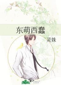东萌西蠢封面