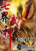 绝世武神叶天林婷婷封面