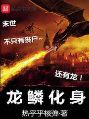 龙鳞化身封面