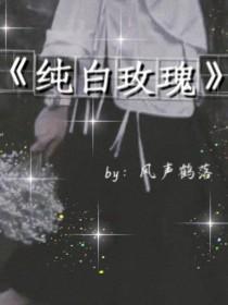 纯白色玫瑰封面